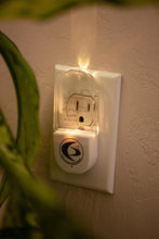 EMF House Shield - USA