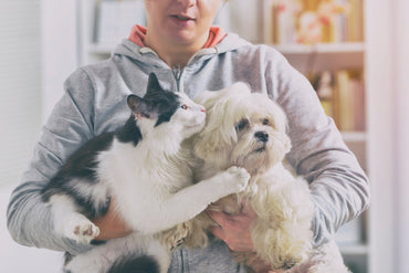 Woman holding a small white dog at home
