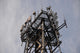 Cellular communications tower seen from below