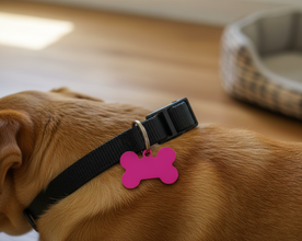 EMF Protection Pet Tag – Dog & Cat Collar Pendant for EMF Shielding- Pink