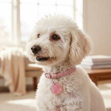Small white dog wearing an EMF protection paw-shaped collar charm in pink, designed to support pets in wireless environments.