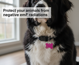EMF Protection Pet Tag – Dog & Cat Collar Pendant for EMF Shielding- Pink