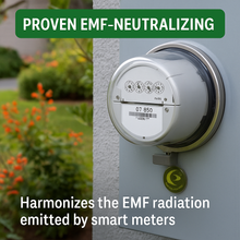 EMF Smart Guard Shield